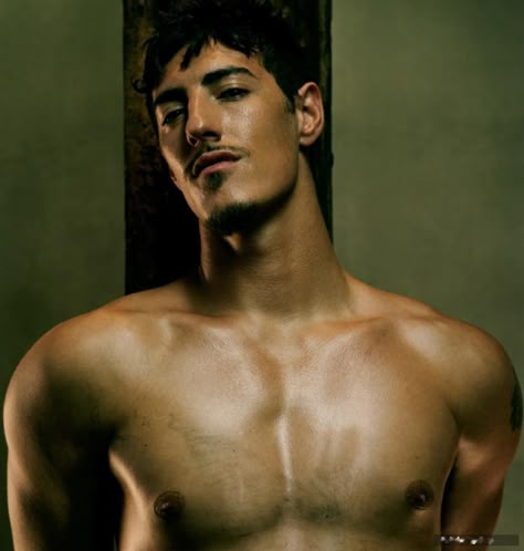 Eric Balfour Boyfriend Manifestation, Moss Mirror, Eric Balfour, Dylan Dog, Eric Bana, Body Reference Drawing, Ideal Man, Men's Muscle, Body Reference