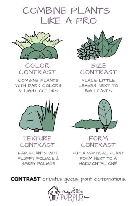 Plant Combinations: How to make unforgettable plant pairings Front Yard Garden Design, Garden Design Plans, Landscape Design Plans, Home Landscaping, Front Yard Garden, Plant Combinations, Garden Landscape Design, Front Yard Landscaping Design, Outdoor Landscaping