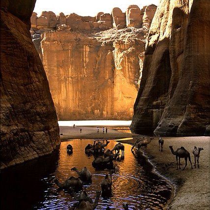 Camels 'Refueling' Near Ancient City Of Chad, via Flickr. Magic Places, Africa Travel, Oh The Places Youll Go, Crete, Places Around The World, Beautiful World, Wonders Of The World, Kenya, Maui