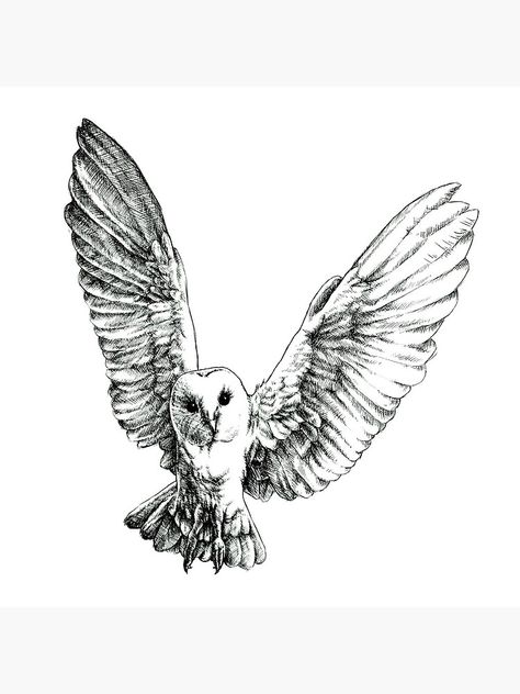 black and white portrait of a barn owl mid-flight Owl Drawing Black And White, Owl Of Minerva Tattoo, Owl In Flight Tattoo Design, Black And White Owl Drawing, White Owl Illustration, Northern Saw Whet Owl Tattoo, Flying Owl Painting, Owl Pen Drawing, Harry Potter Tattoos Hedwig