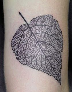 Detail... skeleton of leaf Aspen Leaf Tattoo, Bodhi Tattoo, Holly Tattoo, Mother Nature Tattoos, Shell Tattoos, Skeleton Tattoo, Leaf Skeleton, Leaf Tattoo, Female Tattoos