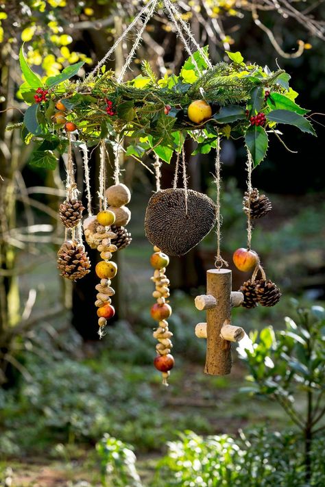 Make A Bird, Bird Feeder Craft, Bird Wreath, Homemade Bird Feeders, Bird Treats, Gardens Design, Diy Birds, Feeding Station, In Front Of House