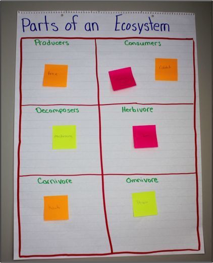 Ecosystem Activities Middle School, Ecosystems Activities, Teaching Ecosystems, October Science, Classroom Science Experiments, Ecosystem Activities, Ecosystems Projects, Science Printables, Science Inquiry