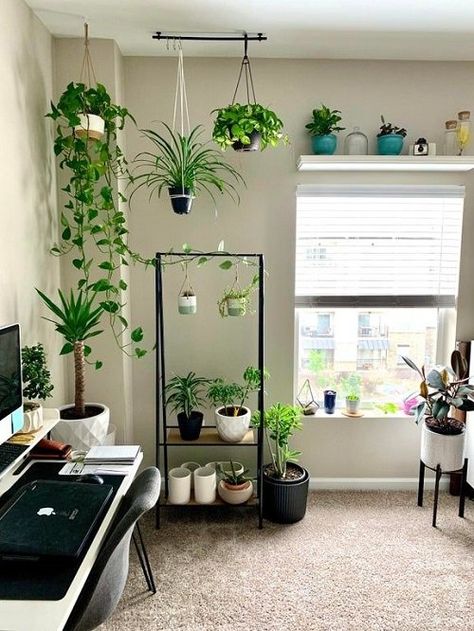 Photographer Office Decor, Office Plant Display, Office Design With Plants, Home Office With Plants Cozy, Hanging Plants Office, Office Ideas Plants, Desk Plants Office, Plants In Office Space, Office With Plants