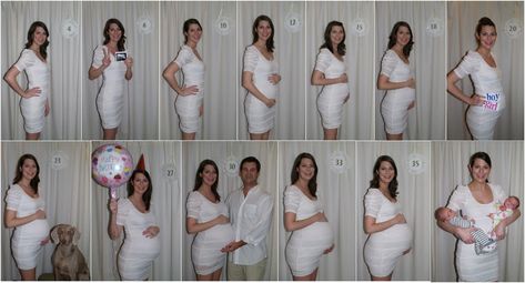 Pregnancy Photo Timeline - Imgur Pregnancy Progress Pictures, Bump Progression, Twin Belly, Twin Pregnancy Belly, Baby Bump Progression, Pregnancy Timeline, Pregnancy Progression, Pregnancy Bump, Boy Girl Twins