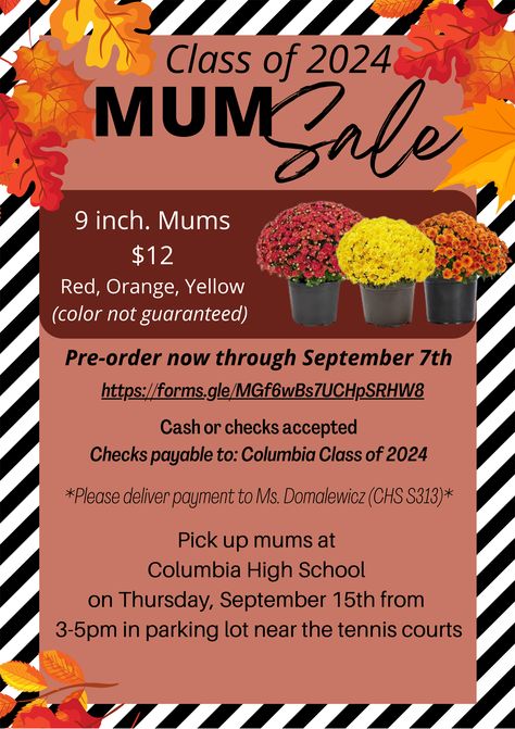 Fall Mum Sale to Benefit CHS Class of 2024 | East Greenbush CSD Fall Fundraiser Ideas, Fundraiser Ideas School, Client Appreciation Events, Party Planning Business, Pto Ideas, School Pto, Pta School, Fall Mums, Fundraiser Ideas