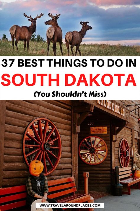 Places To Visit In South Dakota, Rapid City South Dakota Things To Do, Things To Do In South Dakota, Milky Highway, Spearfish Canyon South Dakota, Mount Rushmore Vacation, Tennessee Family Vacation, Spearfish South Dakota, Custer South Dakota