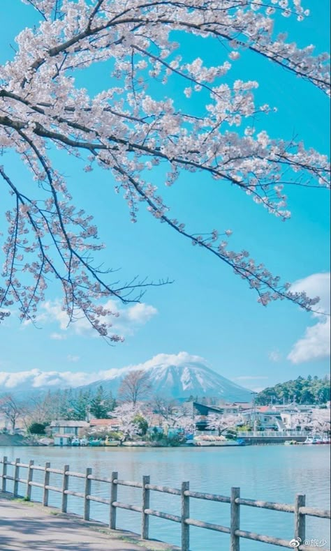 Korea Lockscreen, Pretty Background, Japan Landscape, Flowery Wallpaper, Pretty Backgrounds, Japan Aesthetic, Cute Simple Wallpapers, Beautiful Landscape Wallpaper, Landscape Illustration