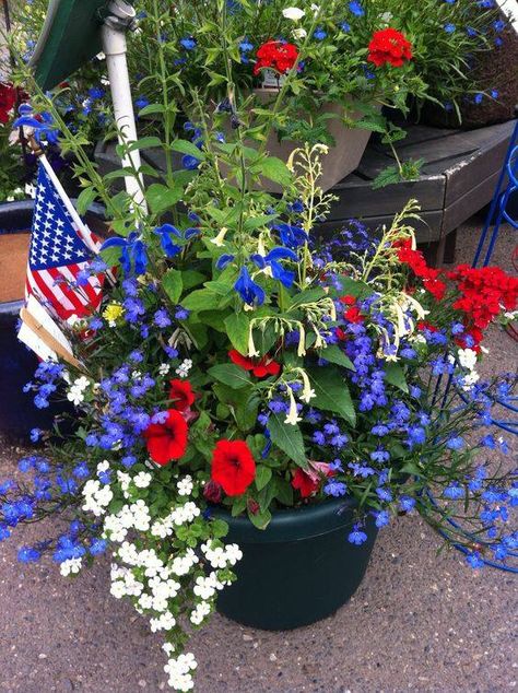 Red White And Blue Flowers, July Garden, Patriotic Flowers, July 4th Holiday, Porch Flowers, Blue Planter, Container Gardening Flowers, White And Blue Flowers, Garden Containers