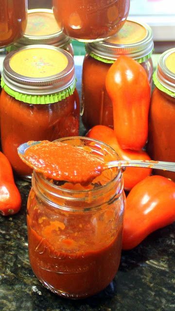 San Marzano Tomatoes Recipes, San Marzano Tomato Sauce Recipes, Italian Salsa, Crock Pot Easy, San Marzano Tomato Sauce, Italian Gravy, Authentic Italian Recipes, Recipes Crock Pot, Red Gravy