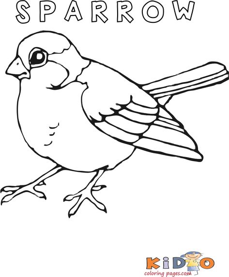 Sparrow Drawing, Bird Outline, Bird Coloring, Bird Sketch, Cartoon Birds, Bird Coloring Pages, Coloring Page Ideas, Easy Coloring Pages, Cartoon Coloring Pages