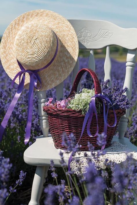 Victoria Magazine, Pink October, Lavender Field, Lovely Lavender, Lavender Fields, Straw Hat, Purple Flowers, Beautiful Photo, Straw Bag