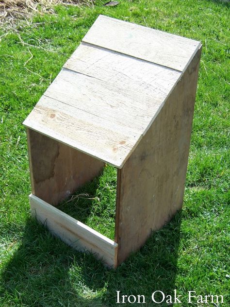 Turkey Roost, Nesting Boxes Diy, Turkey Breeds, Raising Turkeys, Diy Turkey, Baby Turkey, Chicken Nesting Boxes, Nest Box, Chicken Garden