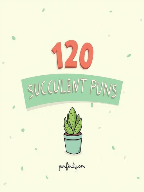 succulent puns Succulent Puns For Teachers, Succulent Sayings Cute, Aloe Puns, Succulent Puns, Cactus Pun, Plant Puns, Zebra Plant, Aloe Plant, Succulent Garden