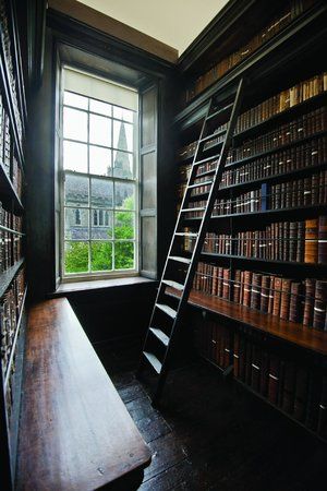 Mona Mina, Moody Library, Dark Bookshelves, Dark Library, Bookshelf Ladder, Small Library, Wood Books, Wood Library, Home Library Rooms