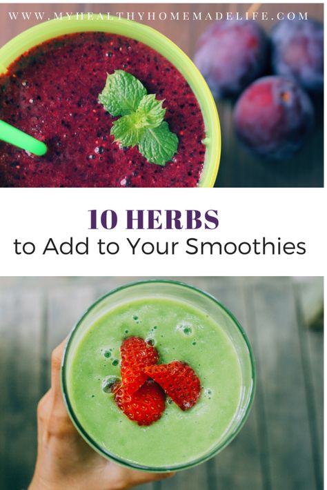 10 Herbs to Add to Your Daily Smoothies | Herbal Smoothie | Home Remedies | Healthy Recipes | My Healthy Homemade Life | #herbalremedies #healthy #smoothie Amazing Smoothie Recipes, Smoothie Recipies, Diet Smoothie Recipes, Slim Diet, Healthy Food Blogs, Healthy Smoothie, Healthy Homemade, Detox Smoothie, Smoothie Recipes Healthy