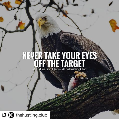 Keep Your Eyes On The Target 🎯 Quotes On Eagle, Cunning Quotes, Eagle Motivation, Eagle Mentality, Target Quotes, Eagle Quotes, Yoga Captions, Eagles Quotes, Grind Motivation