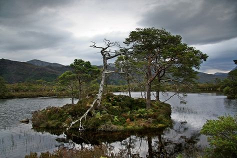 Queen Of Fairies, Fairy Island, Swallows And Amazons, Scottish Mountains, Canoe Camping, Wild Camping, Camping Spots, Canoe And Kayak, The Challenge