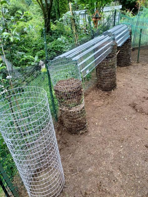 Chicken Tower Coop, Chicken Food Tower, Chicken Tower, Chicken Composting, Carrot Flowers, Chicken Eating, Chicken Run, Chicken Food, Chicken Runs