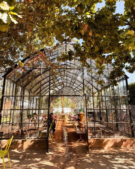 An Autumn flair 🍂 ⁠ ⁠ At the Greenhouse the season reflects on its menu, each dish carefully planned to bring out the flavours synonymous with autumn.⁠ ⁠ Wander up our garden and join us for a light meal in the Greenhouse open from 09:00-17:00. ⁠ #babylonstoren #franschhoek #capewinelands #farmlife #winecountry⁠ #greenhouse #glasshouse #greenhouselife #garden #indoorgarden #lunch #brunch #breakfastspot Cafe In Greenhouse, Mountain Greenhouse, Greenhouse Coffee Shop, Greenhouse Office, Green House Cafe, Greenhouse Bar, Greenhouse Restaurant, Music Restaurant, Tamarind Tree