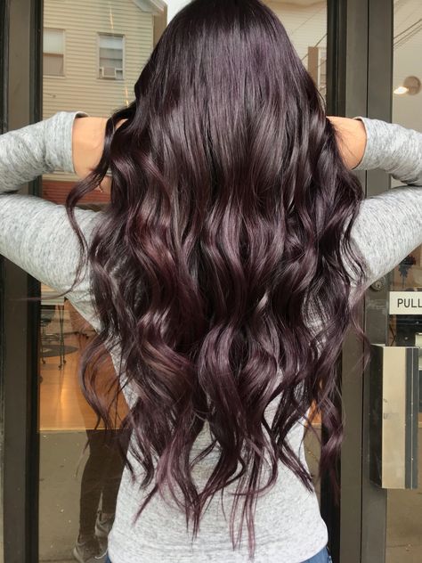 Dark purple tinted hair Dark Plum Balayage Hair, Dark Hair With Plum Highlights, Brunette With Purple Tint, Egg Plant Hair Color Dark, Brown Plum Hair, Dark Brown Hair With Tint Of Purple, Purple Tint Hair, Purple Undertone Hair Brown, Dark Hair With Purple Tint