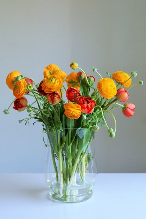 Ranunculus Butterfly, Ranunculus Bouquet, Winter Floral Arrangements, Wildflower Bouquets, Floral Vases, Plant Illustrations, Flowers In Vases, Ranunculus Flowers, Tulips In Vase