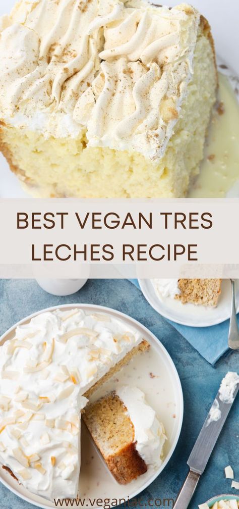 This vegan tres leches cake is a delectable treat that is quite simple to make. The straightforward and lightweight cake recipe is simple to prepare and even simpler to decorate with the vegan three-milk combination and light, foamy whipped cream (also vegan). Tres leches, which translates literally to “three kinds of milk,” is a dessert made of a light, fluffy sponge cake soaked in a milky concoction that frequently includes condensed milk, evaporated milk, and cream. #vegantresleches Gluten Free Vegan Tres Leches Cake, Condensed Milk Vegan Recipes, Vegan Condensed Milk Desserts, Vegan Tres Leches Cake Recipe, Vegan Poke Cake, Vegan Birthday Cake Ideas, Tres Leches Cake Eggless, Vegan Mini Cake, Dairy Free Tres Leches Cake