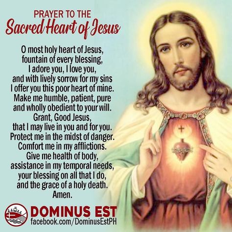 All Posts • Instagram St Joseph Novena, Sacred Heart Novena, Sacred Heart Devotion, Most Sacred Heart Of Jesus, Weekend Blessings, Saying The Rosary, Catholic Beliefs, The Sacred Heart Of Jesus, Novena Prayers