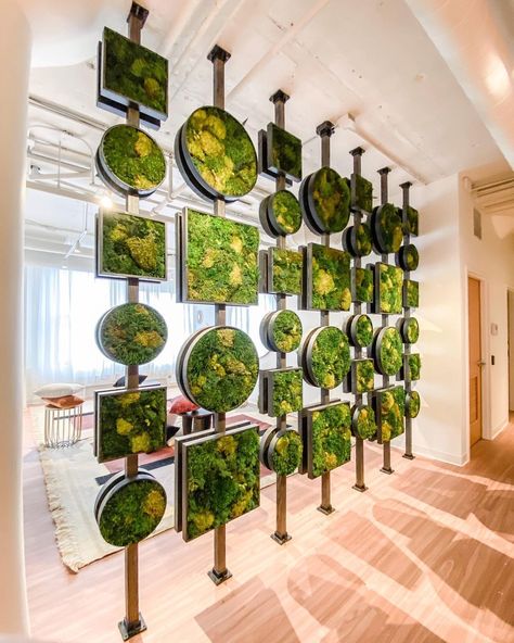 norman leigh design on Instagram: “A finished view of the moss frame room divider! 🌿🙌🏼🌿 We worked with @variegatedchicago to make 100 of these moss filled wood framed pieces…” Greenery Wall Ideas, Moss Wall Design, Moss Interior, Moss Frame, Green Land, Landscape Design Ideas, Recording Studio Design, Green Interior Design, Simple Designs To Draw