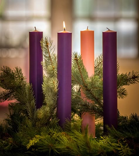 Catholic Advent Wreath, Advent Wreath Prayers, Advent Images, Advent Catholic, First Sunday Of Advent, Church Christmas Decorations, Christmas Advent Wreath, Three Candles, Advent Season