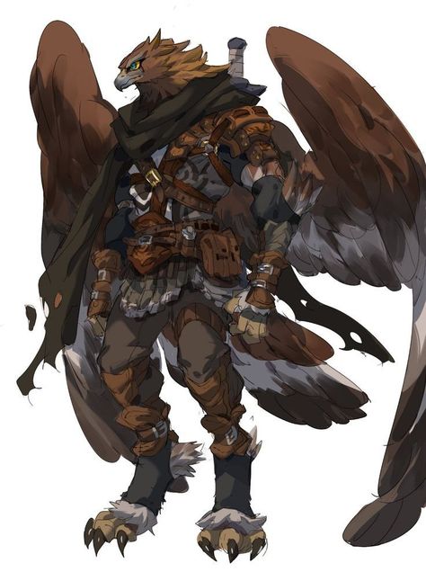 Hawk Mutant Shankling Bird People, Fantasy Races, 캐릭터 드로잉, Dungeons And Dragons Characters, Dnd Art, D&d Dungeons And Dragons, Creature Concept Art, Creature Concept, Dnd Characters