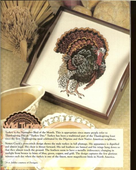 Turkey Cross Stitch, Thanksgiving Harvest, Cross Stitch Magazines, First Thanksgiving, Stoney Creek, Wild Turkey, Beaded Cross Stitch, Cross Stitch Charts, Counted Cross Stitch Patterns