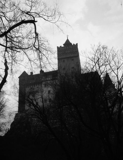 Dracula Castle Aesthetic, Romania Aesthetic Dark, Romania Vampire, Dracula Moodboard, Draculas Castle Romania, Victorian Gothic Aesthetic, Castle Dracula, Castle Romania, Court Of The Dead