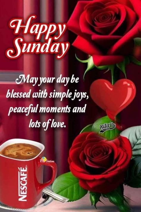 Sunday Greetings Good Morning, Happy Sunday Images Beautiful, Good Morning Sunday Blessings, Happy Sunday Messages, Pride Apparel, Happy Sunday Images, Sunday Messages, Sunday Greetings, Healing Bible Verses