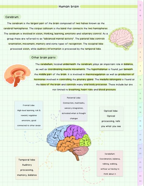 #cute #aesthetic #biology #notes #school #study #student Aesthetic Biology Notes, Biology Notes Aesthetic, Brain Notes, Aesthetic Biology, Bio Notes, Cube Decor, Nurse Study, Notes School, Notes Inspo