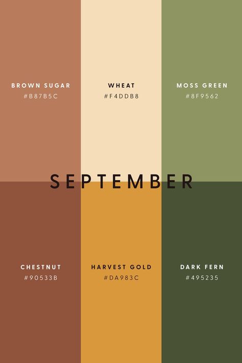 Bedroom Design Palette, Fall Yellow Color Palette, Color Palettes With Olive Green, 70s Green Color Palettes, Faded Color Palette, Cozy Color Pallete, September Colour Palette, Pumpkin Spice Color Palette, September Palette