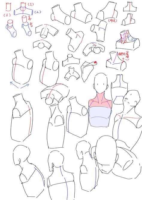 neck and shoulders Neck And Shoulder Anatomy Drawing, Shoulders Anatomy Drawing, Drawing Shoulders Reference, Shoulder Tutorial Drawings, Drawing A Neck, Neck And Shoulders Drawing, Drawing Necks And Shoulders, Shoulders Art Reference, Shoulder Anatomy Reference