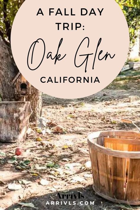 Oak Glen California Things To Do, Oak Glen Apple Picking, Oak Glen California, Fall Packing List, Apple Picking Fall, San Diego Travel Guide, California Fall, Oak Glen, Heart Of Palm