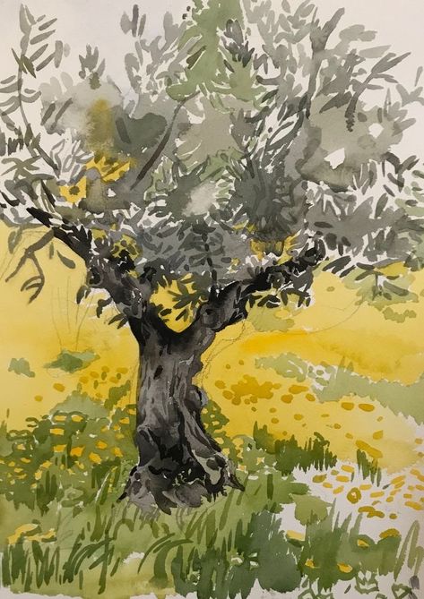 Tree Artwork Illustrations, Olive Tree Watercolor Paintings, Olive Tree Watercolor, Olive Tree Illustration, Olive Tree Drawing, Olive Tree Art, Olive Painting, Olive Tree Painting, Figure Ground