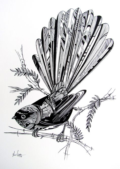 Fantail Drawing, Fantail Painting, Fantail Tattoo, Tui Bird Tattoo New Zealand, Mum Tattoos, Nz Native Bird Tattoo, Bird Illustration Black And White, Intricate Illustration, Nz Bird Illustration