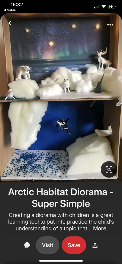 Antarctica Projects For Kids, Arctic Diorama For Kids, Antarctica Crafts For Kids, Antarctica Crafts, Shoe Box Diorama, Animal Research Project, Ocean Diorama, Arctic Habitat, Habitat Project