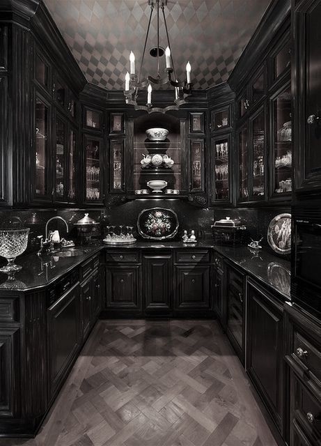 Vampire Kitchen Aesthetic, Gothic House Interior Kitchen, Vampire House Aesthetic, Vampire Kitchen, Witch Home Aesthetic, Goth Mansion, Royalty Dr, Gothic Homes, Vampire House