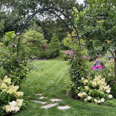 Creating a Contemporary Cottage Garden: Lessons Learned | Garden Design Limelight Hydrangea, Yard Inspiration, Redbud Tree, Planting Hydrangeas, Contemporary Cottage, Cafe Lights, Side Yard, Perennial Garden, Upstate New York