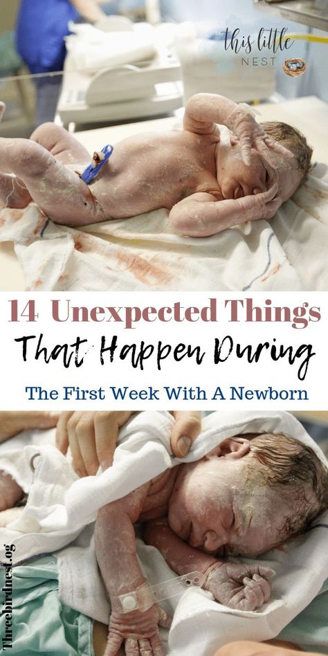 1st Week With Newborn, Hospital Polaroid Pictures, What To Expect With A Newborn, First Week With Newborn, Infant Bathroom Organization, Newborn Care First Week, What To Do With A Newborn, Newborn Must Haves 2024, Nesting For Baby