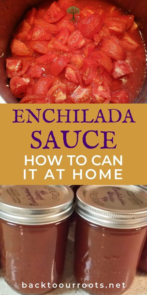 Mexican Salsa Recipes Authentic For Canning, Canning Enchilada Sauce, Vegan Canning, Enchilada Sauce Homemade, Can Enchilada Sauce, Best Enchilada Sauce, Enchilada Sauce Recipe, Best Enchiladas, Food Canning