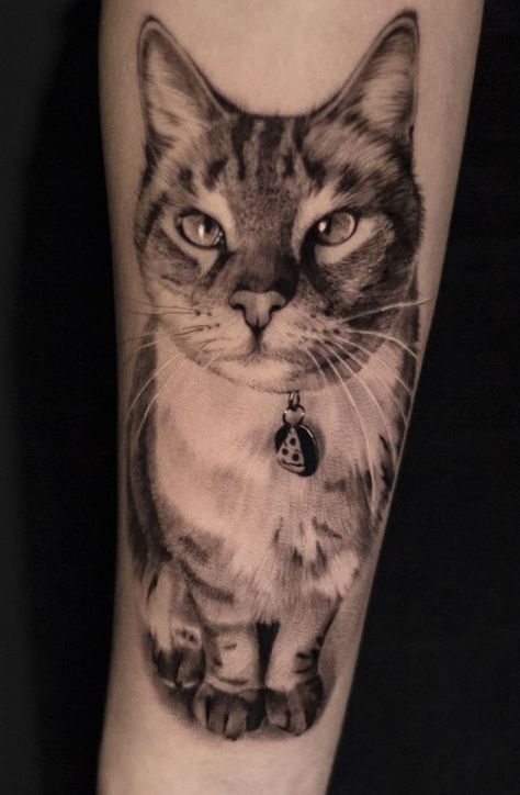 Realistic Cat Tattoo, Cat Portrait Tattoo, Hole Tattoo, Egyptian Cat Tattoos, Tattoo Gato, Watercolor Cat Tattoo, Cat Paw Tattoos, Lucky Cat Tattoo, Cat Portrait Tattoos