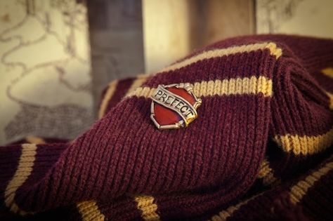 harry potter, gryffindor, and hogwarts image Hermione Granger Aesthetic, Percy Weasley, Stile Harry Potter, Gryffindor Aesthetic, Ronald Weasley, Buku Harry Potter, Images Harry Potter, Harry Potter Houses, Hogwarts Aesthetic