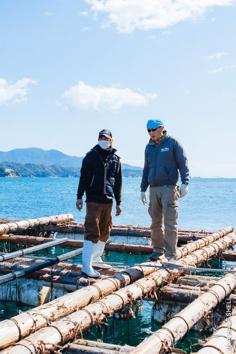 Oyster Farming Photography, Muscle Shell, Oyster Farming, Boat Restaurant, Drago’s Charbroiled Oysters, Natural Pearls Sea Oyster Shells, Rocky Mountain Oysters, Japan Beach, Japanese Fishing Village