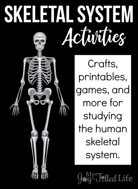 Activities for Learning About the Skeletal System Skeletal System Project, Skeletal System Activities, Human Body System, Skeleton System, Homeschool Science Experiments, Human Skeletal System, Human Body Projects, The Skeletal System, October Is Here