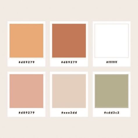 Burnt oranges, dusty rose/peaches, deep greenery, champagne Green Champagne Color Palette, Rust And Blush Color Palette, Dusty Orange Color Palette, Burnt Orange Colour Scheme, Muted Peach Color Palette, Burnt Color Palette, Tan Colour Pallete, Dusty Peach Color, Dusty Orange Bedroom